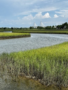Charleston Marsh